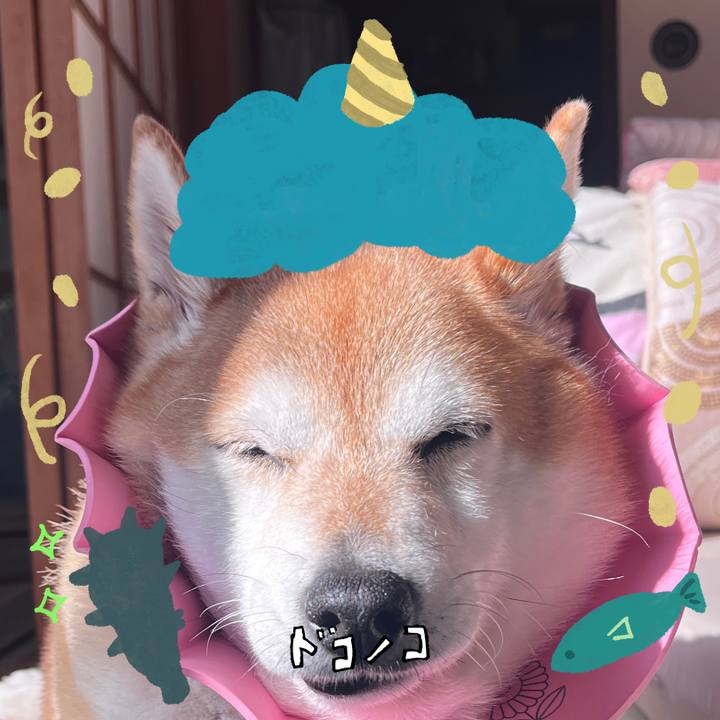 38b2d0c7 1c11 4227 a58c 58add867210b 1706755814729