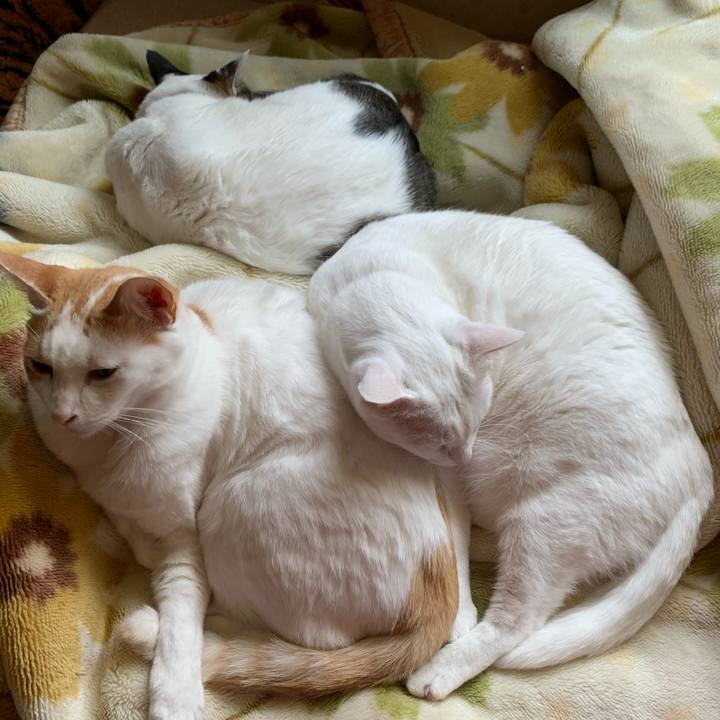 38b317a6 83f7 477a a826 6c0ef5946837 1620103766665