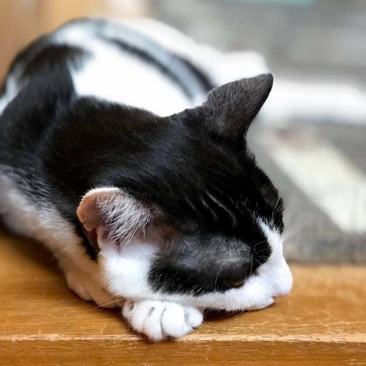 38b323a7 d400 4d7b b50e 699e098b044a 1533391752428