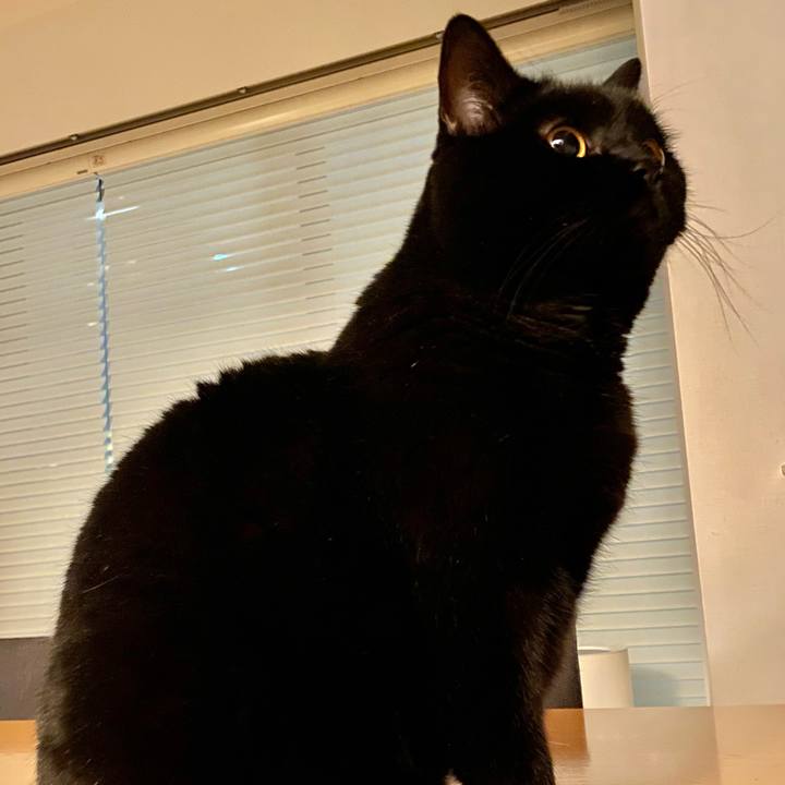 38b32c29 dd95 45d3 990f 445e5bf34ee3 1644830304890