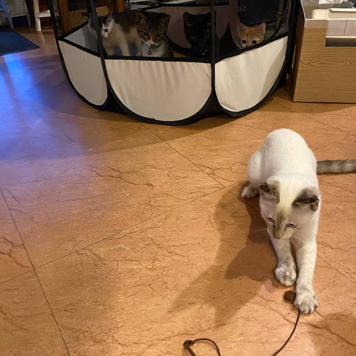 38b3618d 2533 4376 8865 4dfdec94b038 1631785011287