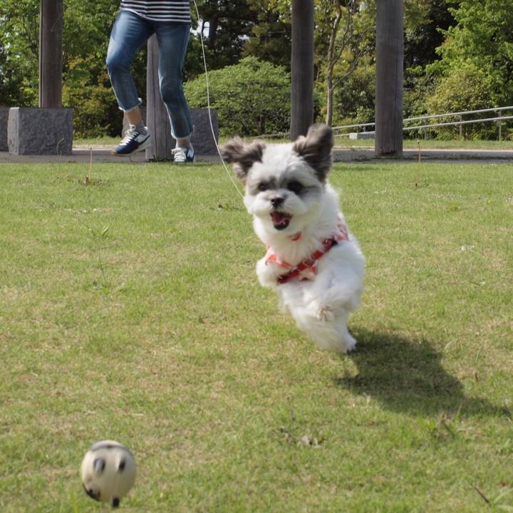 38b3693c d0e0 4db3 8d69 078a3e92120d 1525092801132