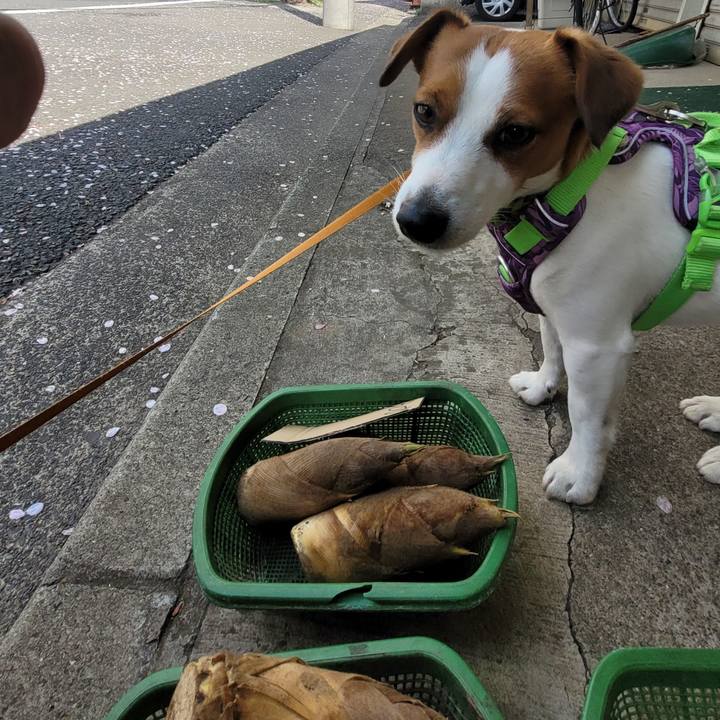 38b370c3 42dd 43bf 85d2 dcddfa8a5ad8 1680492177957