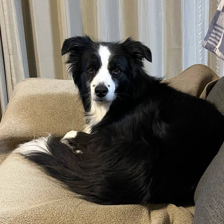 38b378f1 1d61 4170 adc2 2c002012d9e7 1764762454067