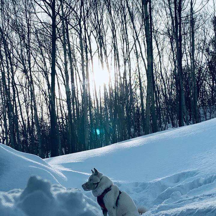 38b3830a 0343 41fa bae6 fd75ba2c674a 1614468560671