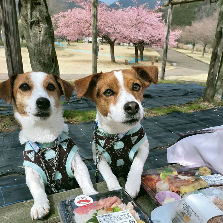 38b3bb95 6967 4cb7 99da 393a475f0fac 1771923885510