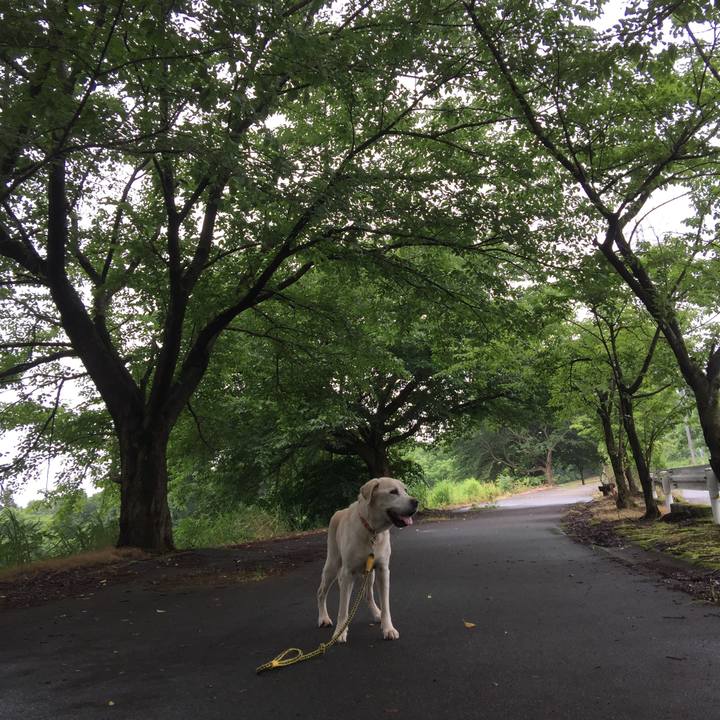 38b3d3d1 ed25 4a16 a4b3 b9e711bc52f4 1528857565924