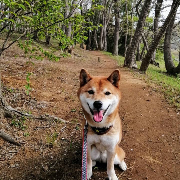 38b42d3e 3093 49a5 9492 aeb059eb30e4 1617347717536