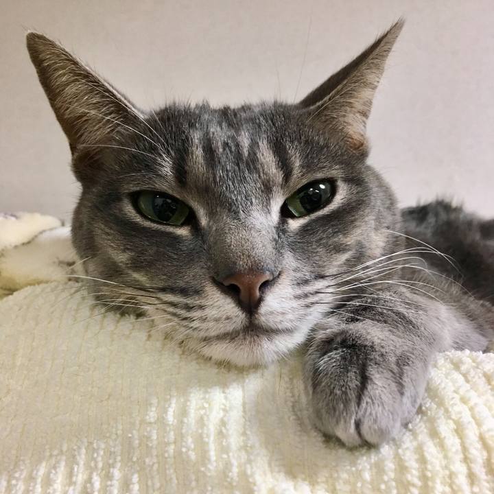 38b43f5c d03b 4842 889c 78eff08d61d5 1543831743227