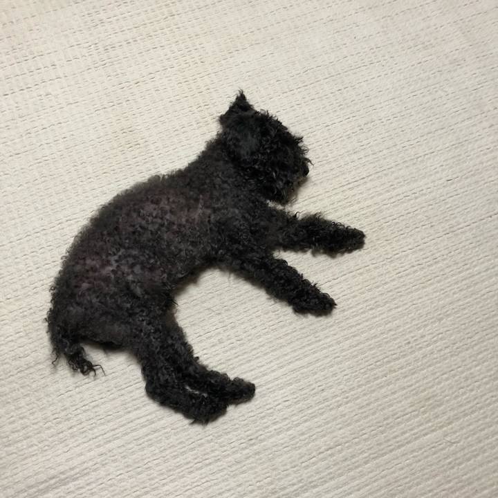 38b44fdd 410e 40fc 840b 397c4626c9dc 1532043299152