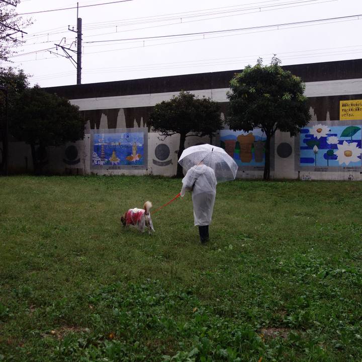 38b4f66e 4872 4840 9f4f f3ba9618ce90 1571703204378