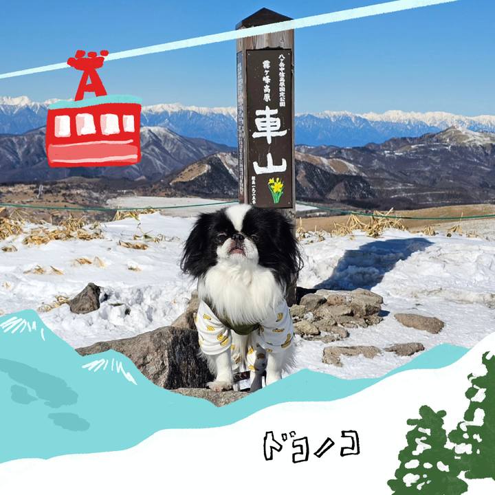 38b521c2 2c81 4daf ad27 9596c8a11007 1707189851729