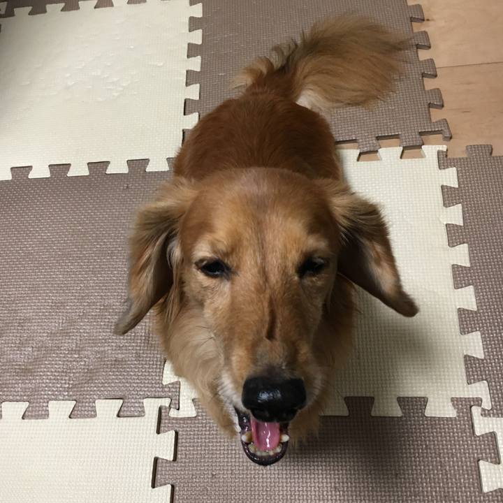 38b53261 5dbd 49bb ad51 9c0e9dd326db 1604325973248