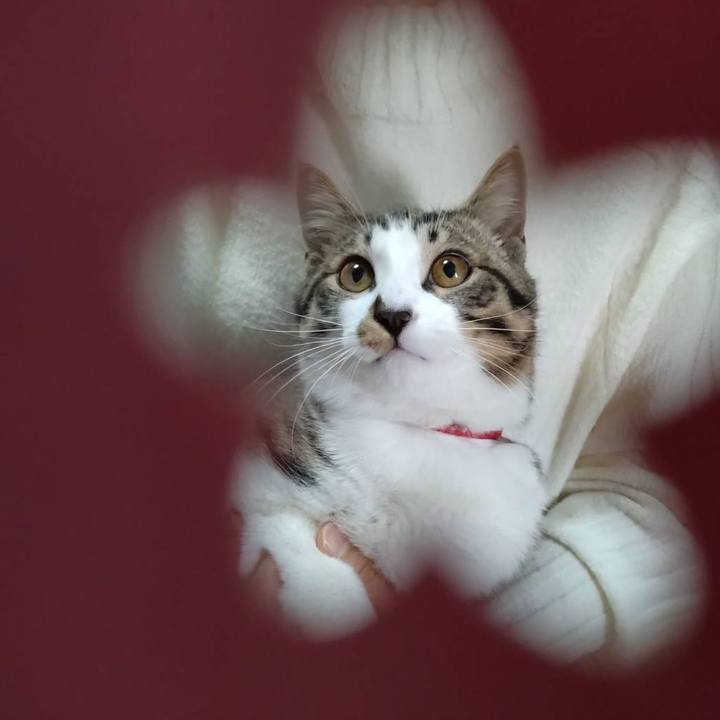 38b54efc 4791 4f64 9cfa 82bfbbb5c585 1737891483737