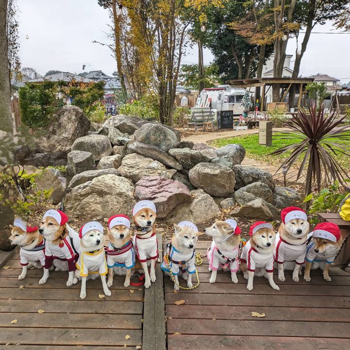 38b5587f 4439 4f0b a8af fe80191de315 1701064598323