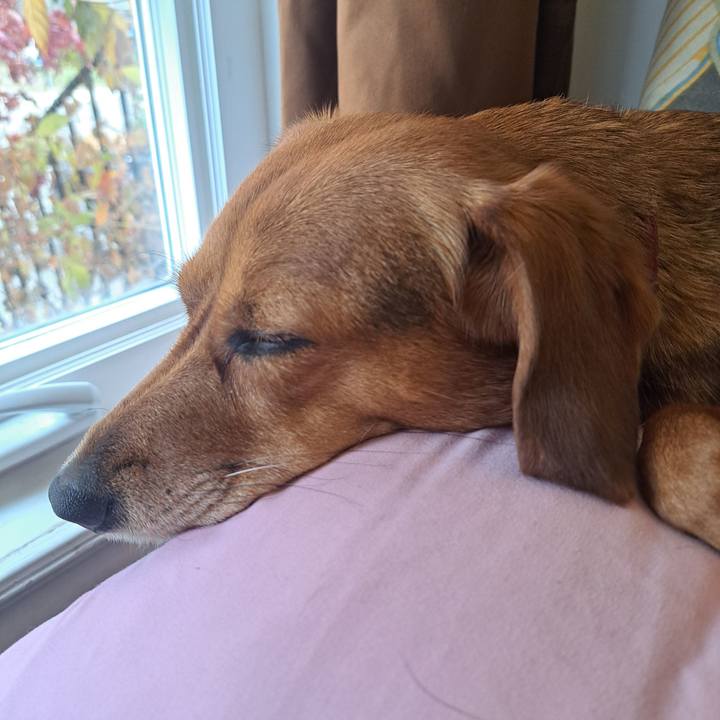 38b575e0 f63f 4c05 8eff 50e01877a4ed 1764123911093