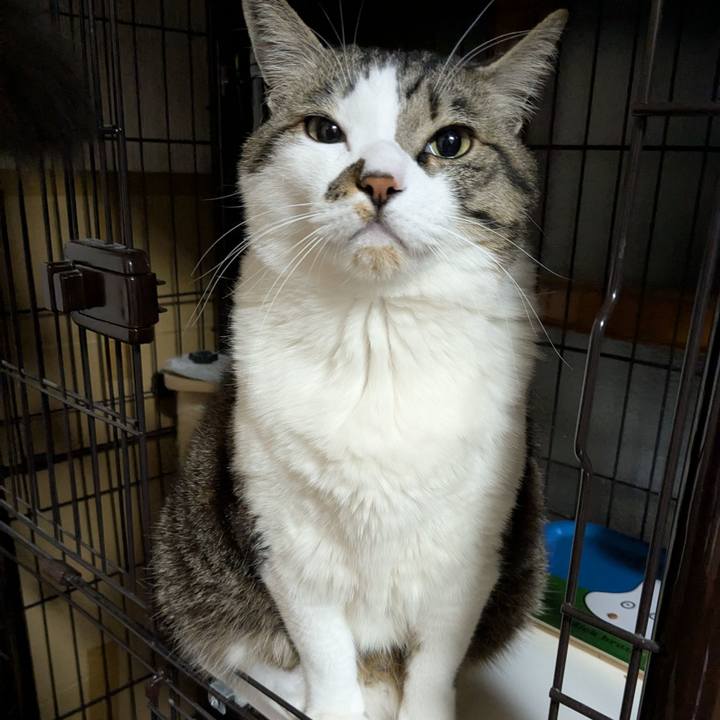 38b58e94 4d83 48ba 9e53 35a2a33957b7 1741298867006