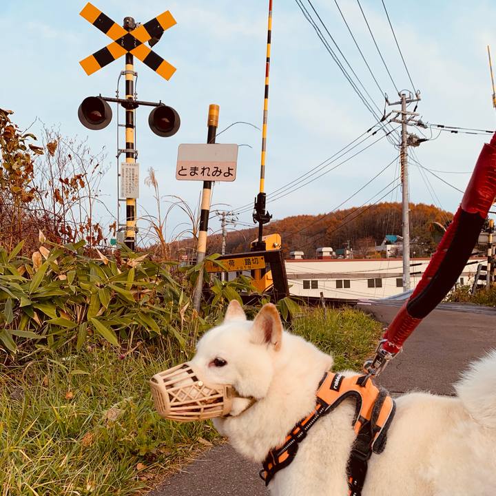 38b5930d ae3a 4863 9d76 f6b403e79054 1668206852256