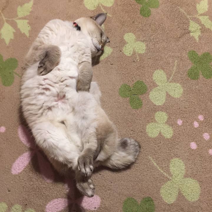 38b59a37 2aaf 41ab bdeb 37bfc188c413 1575199635137