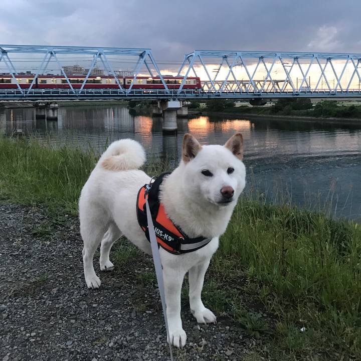 38b59bc8 5b02 44e6 a2f1 2fbe9ee16760 1525947530699