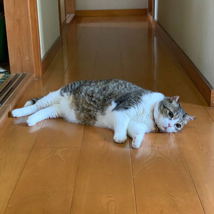 38b5d2be e93b 4cac 8bce 48f5fbeadc67 1720148149576