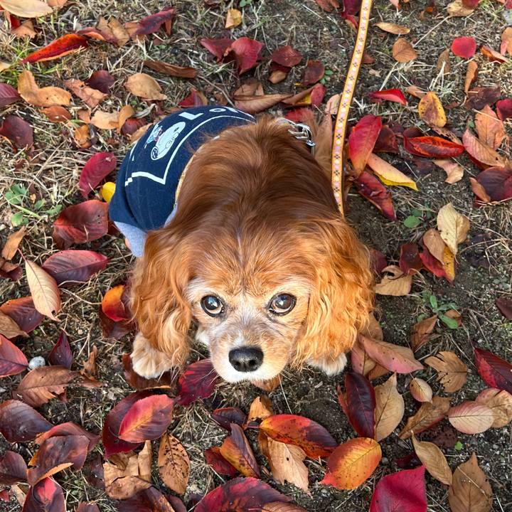 38b5d4d1 80a0 4dd7 80cf 4e987e8363cf 1763168317980