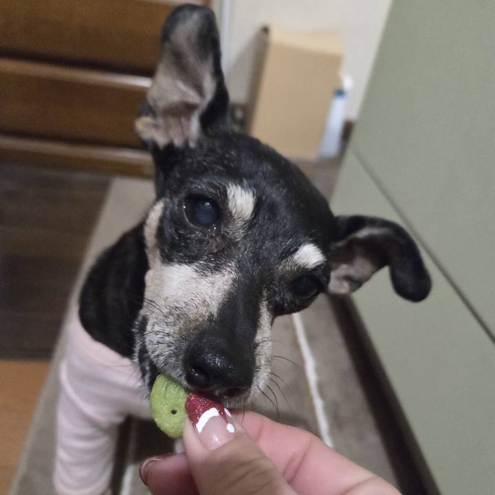 38b6119f 46a0 4b42 99fd c0360e27809e 1764445709250