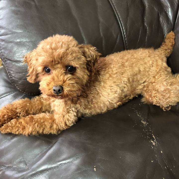 38b61ef5 ff9a 49ef 9f9e 2724cb7b630c 1564526863669