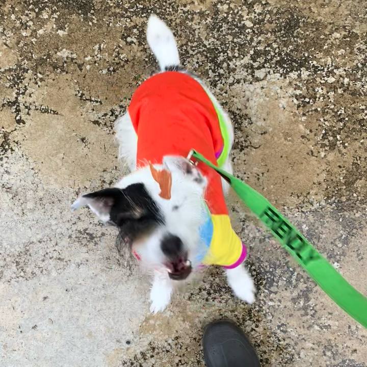 38b6426f dfba 4019 914e 14525fe3e6ae 1686813218175