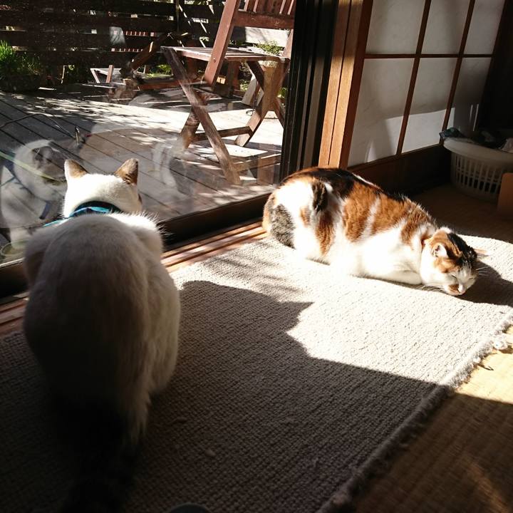 38b65312 9835 4143 a097 b5b609289a4c 1579399909011