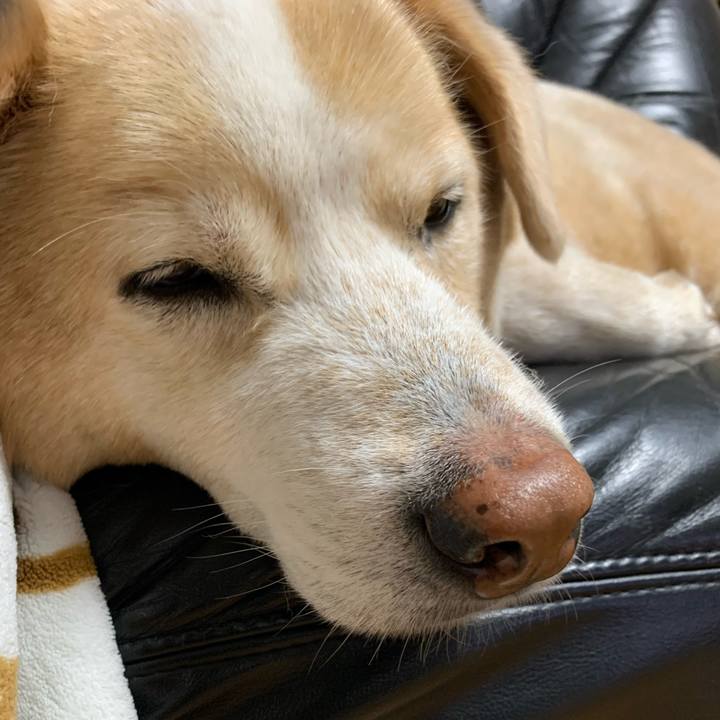 38b654cf f411 4875 985a ba1988b88274 1619868763352