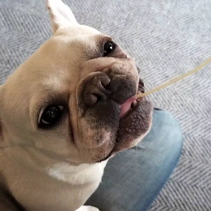 38b66480 7c3d 40cc a619 dac464081eec 1683696927567