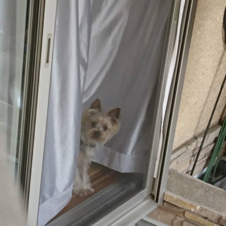 38b67643 5734 46f7 892d d96672962c8d 1525307790549