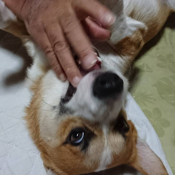 38b680c6 417c 42a3 8d26 9dabdeb0d05d 1573454653818