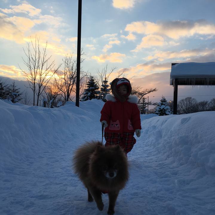 38b6af28 f6d4 4639 b381 a88a1072641a 1517470562619