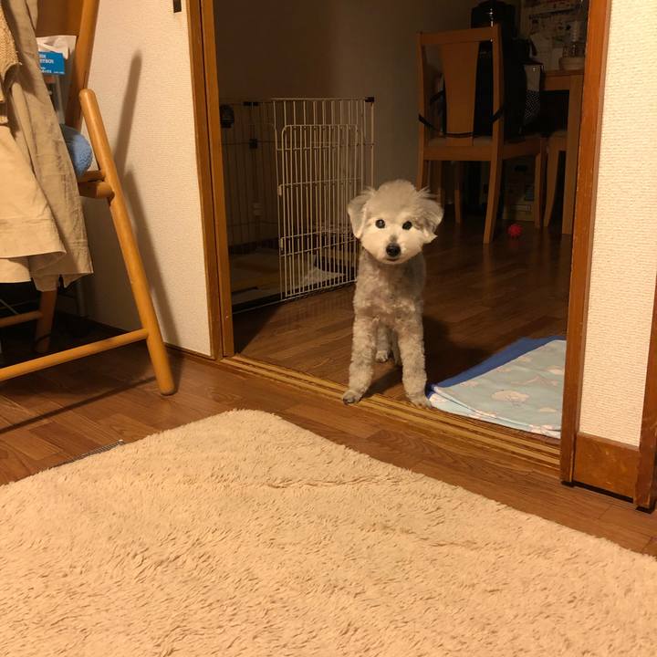 38b6e5cc f02b 4135 9d0e 55689af9a62a 1616110546041