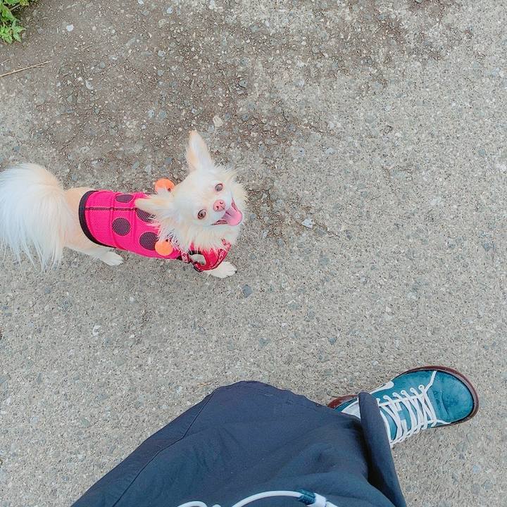 38b702f3 177f 4f4c 9ddb 037634709c02 1621587346919