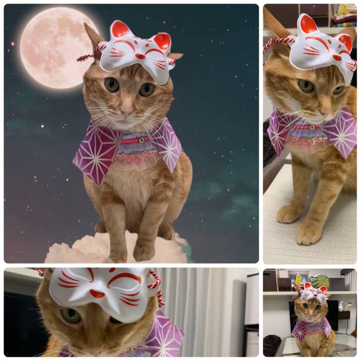 38b71da2 f59b 4f94 8ade 3566a29a6c6c 1597547582926