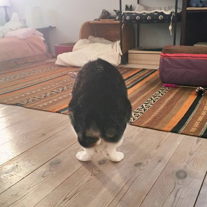 38b72152 d36e 49bb aab7 9cbc689b3214 1591280281869