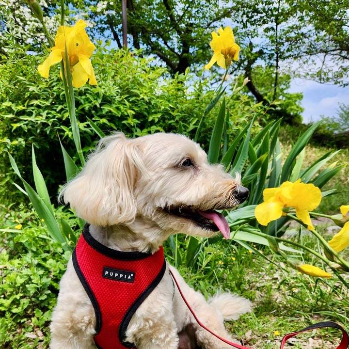 38b773d0 68d0 4971 b455 ce165e423cf7 1776739104339