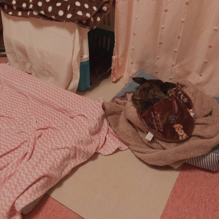 38b77850 fdb6 4fe1 9433 60c852a89ac1 1609170251287