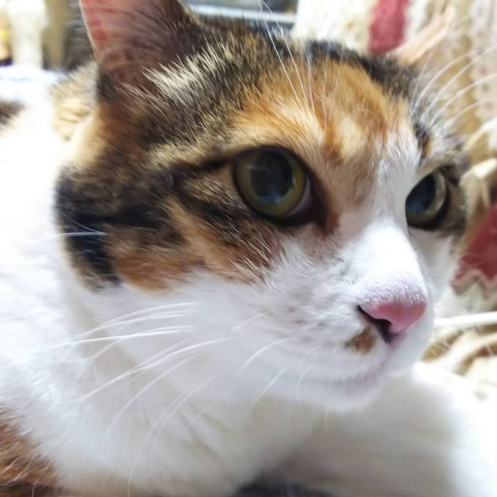 38b77e8f b429 4d9a 998c 2311f8baff85 1567374279841