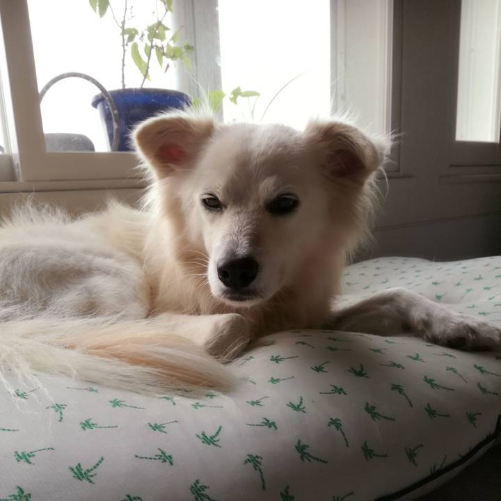 38b78366 43b0 4d15 bdae 07dfd1a620cd 1508203479579