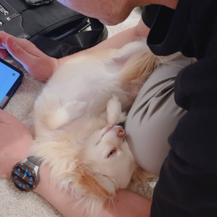 38b7b62b 2bee 4b17 988e 1d9aa1f384d7 1755424254722