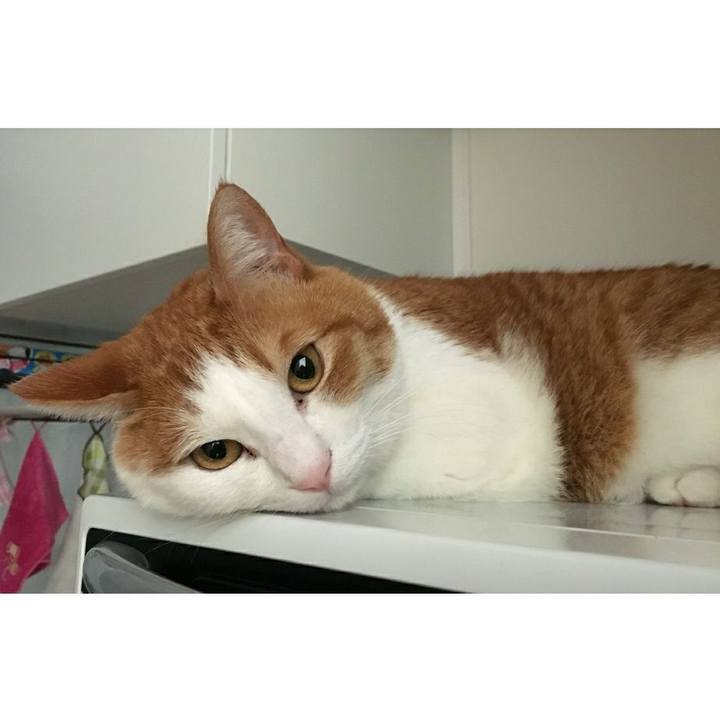 38b7cb45 719a 4488 80ba 1438cde722c3 1518167623666