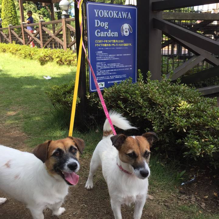 38b7f1ec 8c7f 4f9d bafb 388bfc27fa50 1535249429532