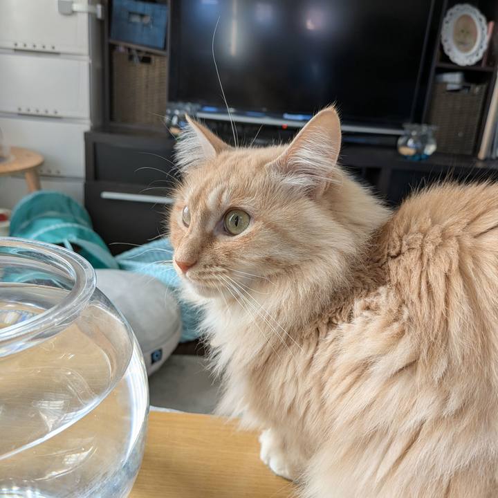 38b80691 a3a5 4ab4 ae13 612ed745e36d 1739082972099