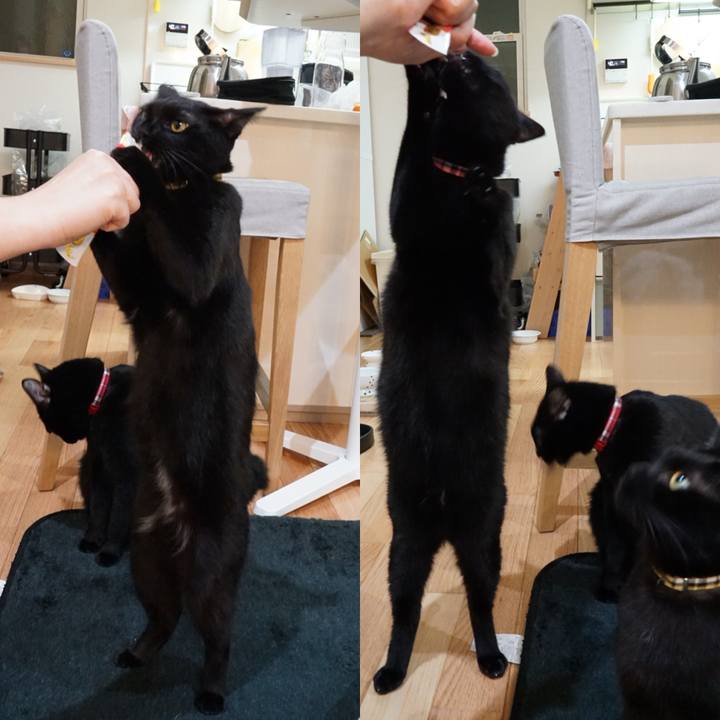 38b80860 1af0 4223 bfc3 80489c3282d9 1543329604068