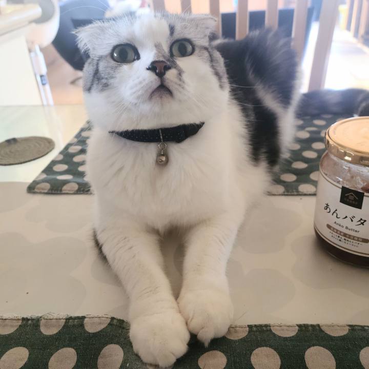 38b80b8d dd42 4286 a12a 68af9c48a71f 1697787373493