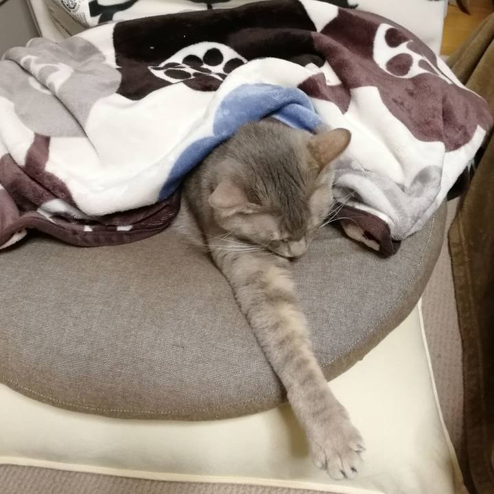 38b8108f 8ed8 4e78 9c4f b827bef2793b 1549591459109